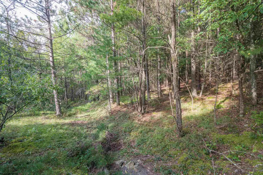11 & 12 Crosscut Way, Davis, WV 26260 - #3