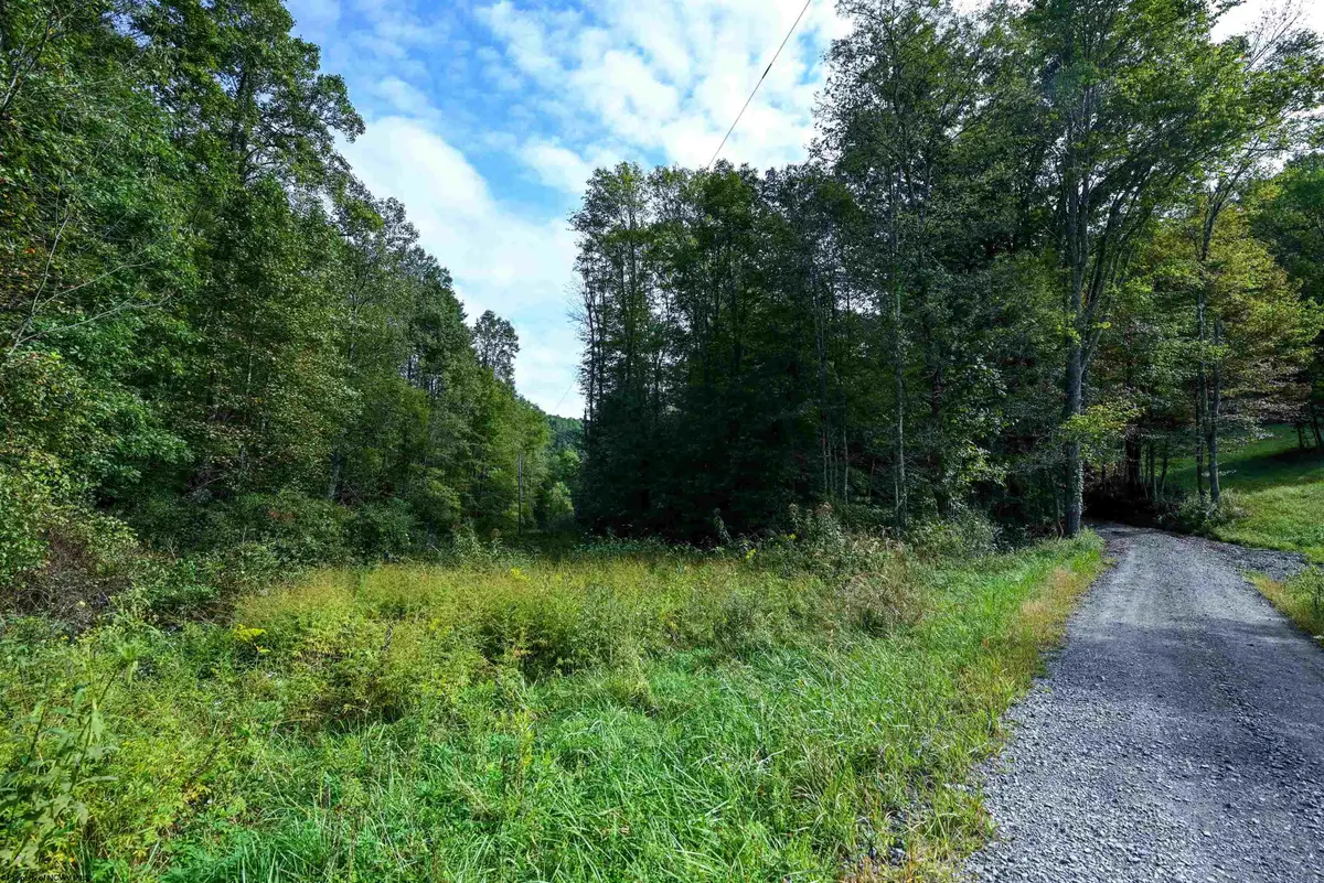 Lot 1 England Road, Philippi, WV 26416 - #1