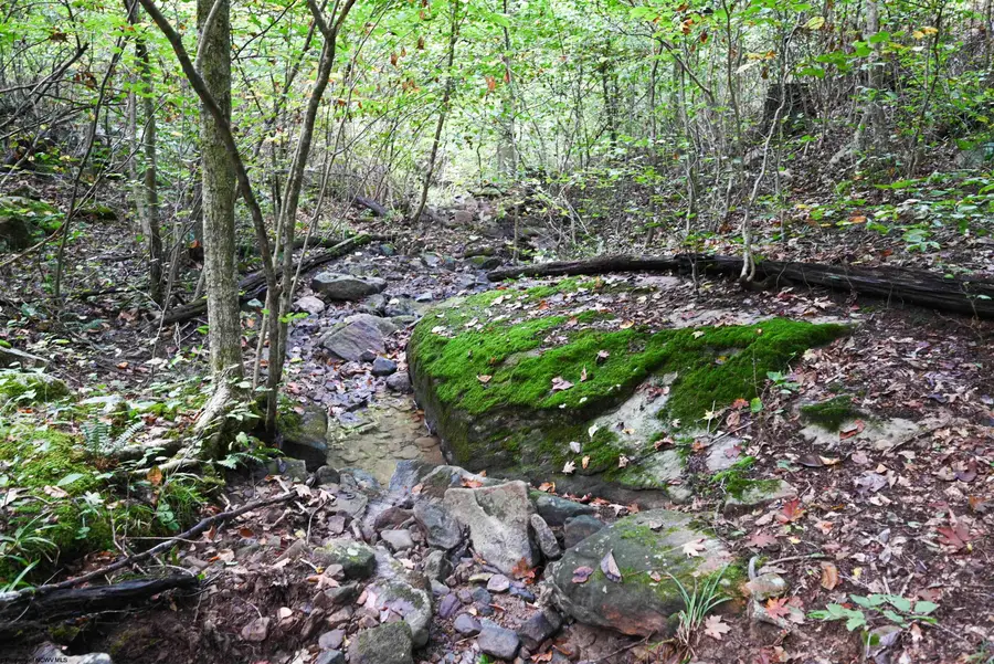 Lot 1 England Road, Philippi, WV 26416 - #3