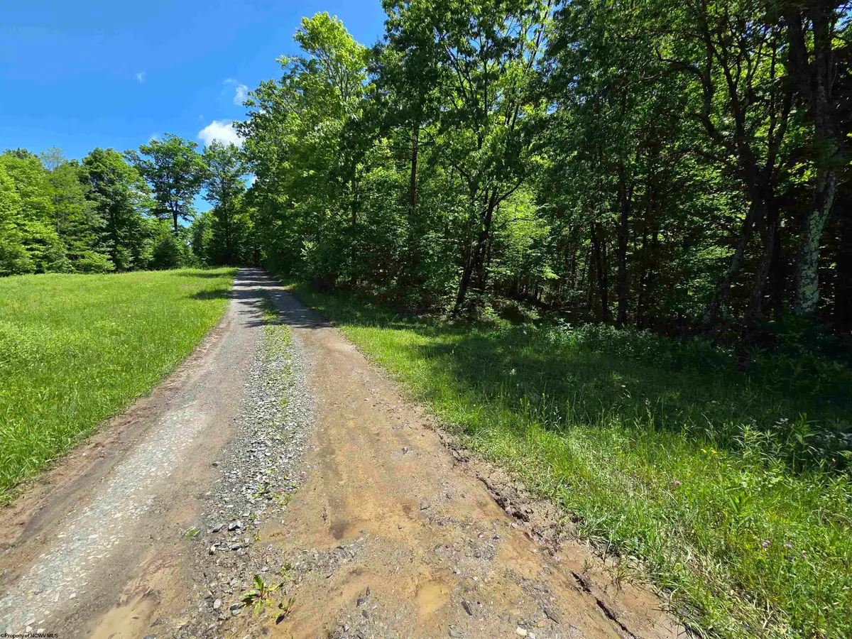 1271 Big Mill Run Road, Parsons, WV 26287 - #1