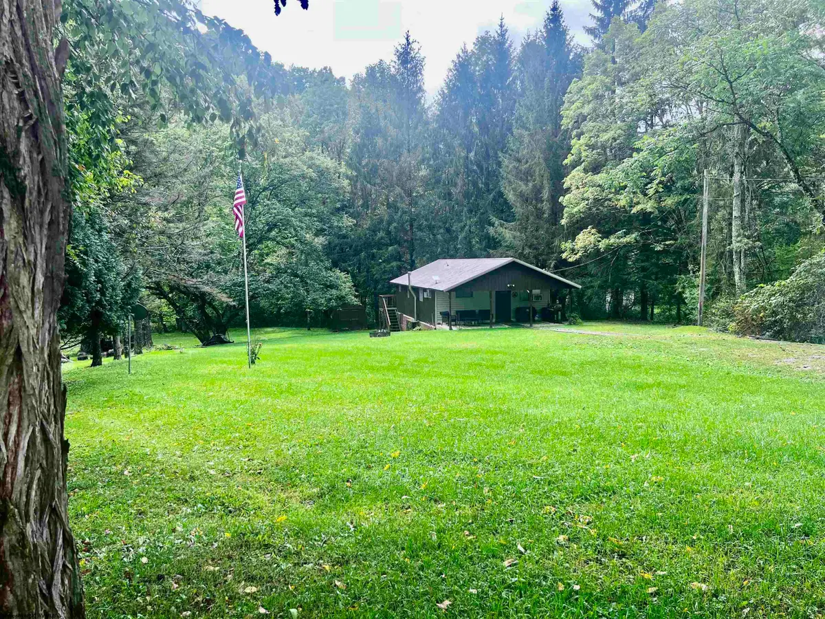 164 Marple Road, Valley Head, WV 26294 - #1