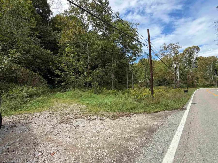 1955 LAZZELLE UNION Road, Maidsville, WV 26541 - #2