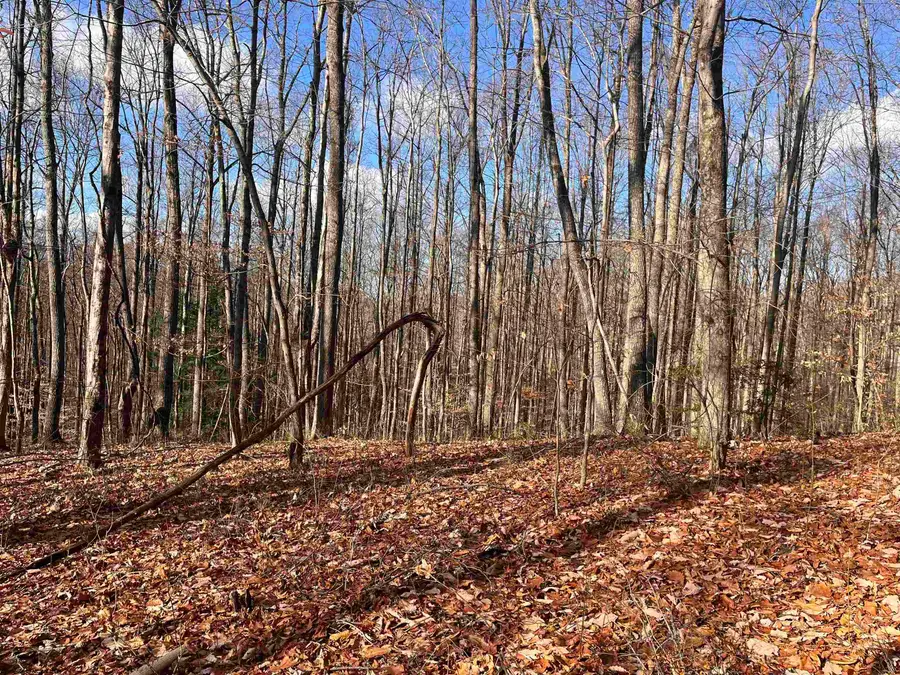 TBD Beech Street, Montrose, WV 26283 - #2