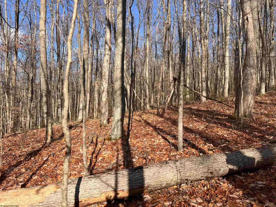 TBD Beech Street, Montrose, WV 26283 - #3