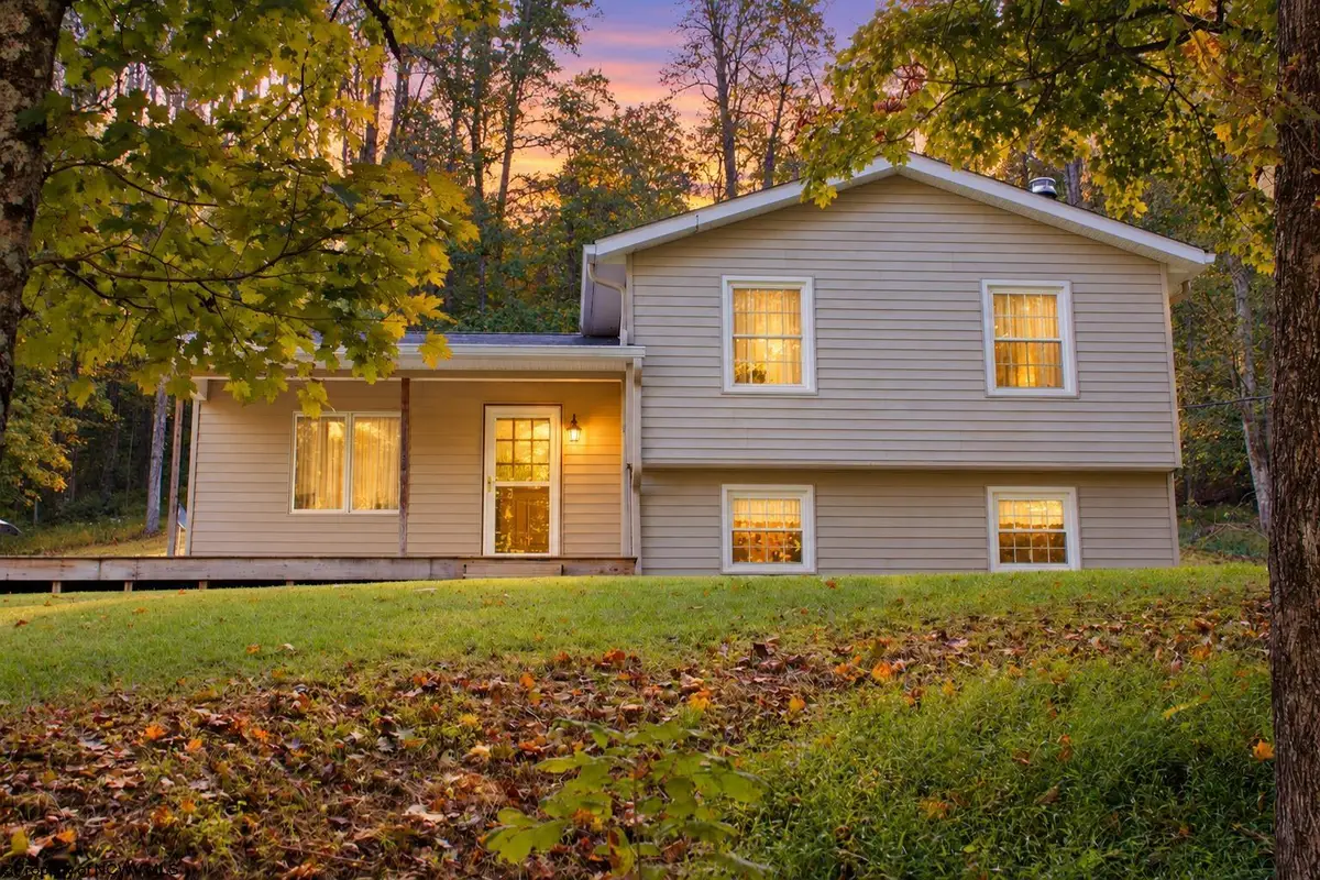 274 Brown Run Road, Burton, WV 26562-9612 - #1