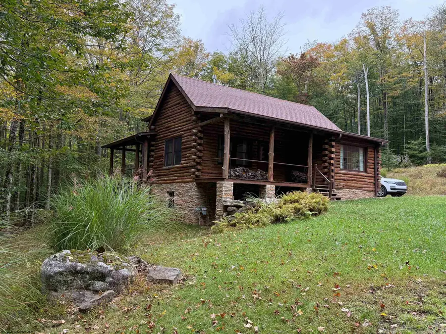 920 Sand Run Road, Davis, WV 26260-0000 - #2