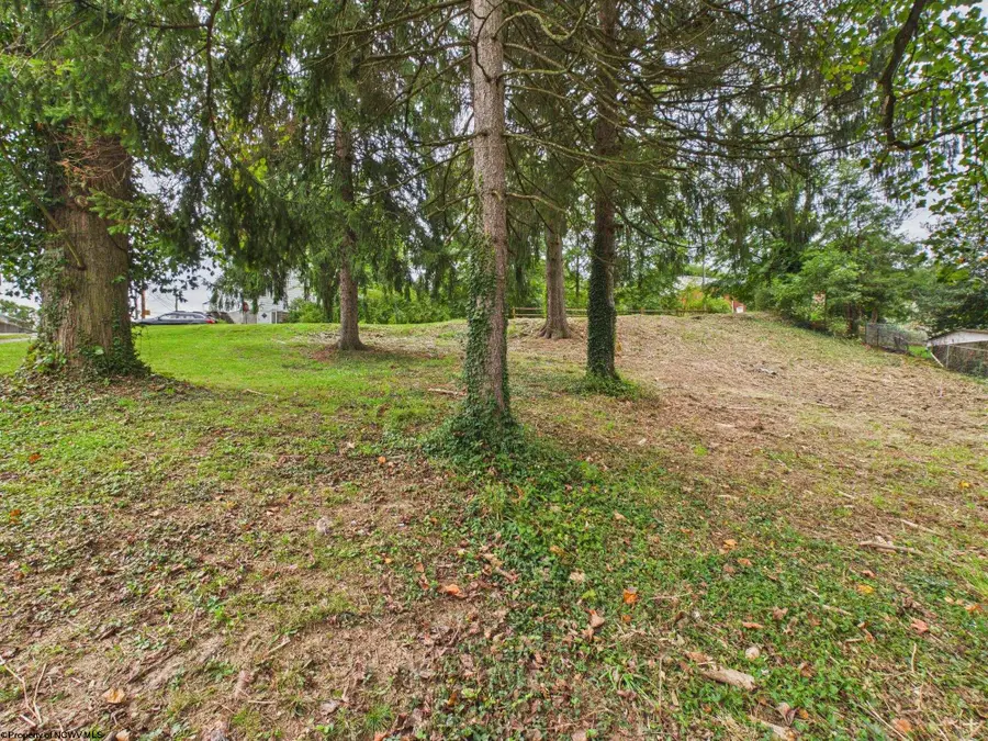 631 Center Street, Morgantown, WV 26505 - #3