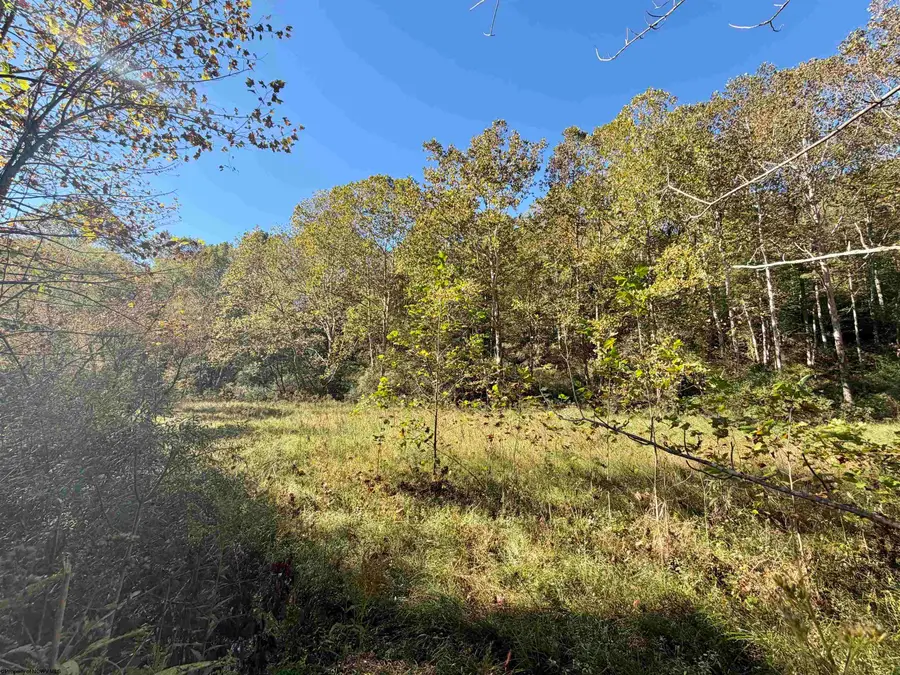 317 Grove Summers Road, New Milton, WV 26411 - #2