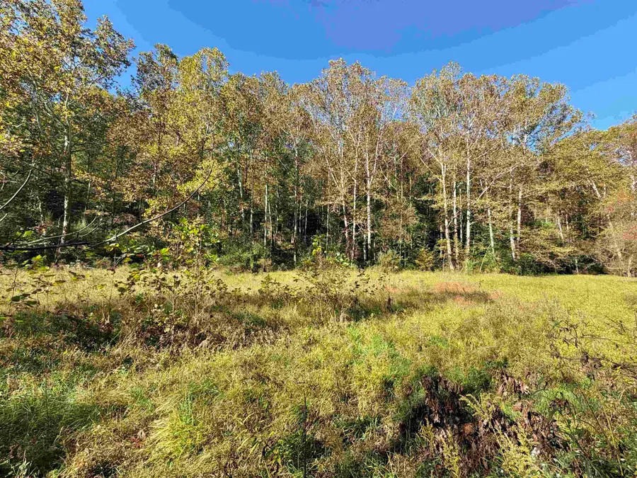 317 Grove Summers Road, New Milton, WV 26411 - #3