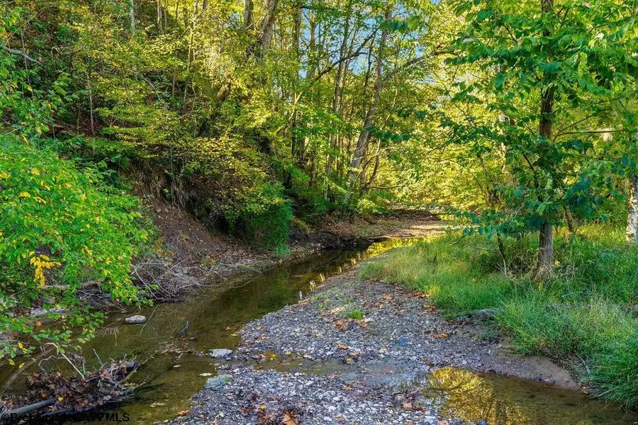 7339 McElroy Creek Road, West Union, WV 26456 - #2