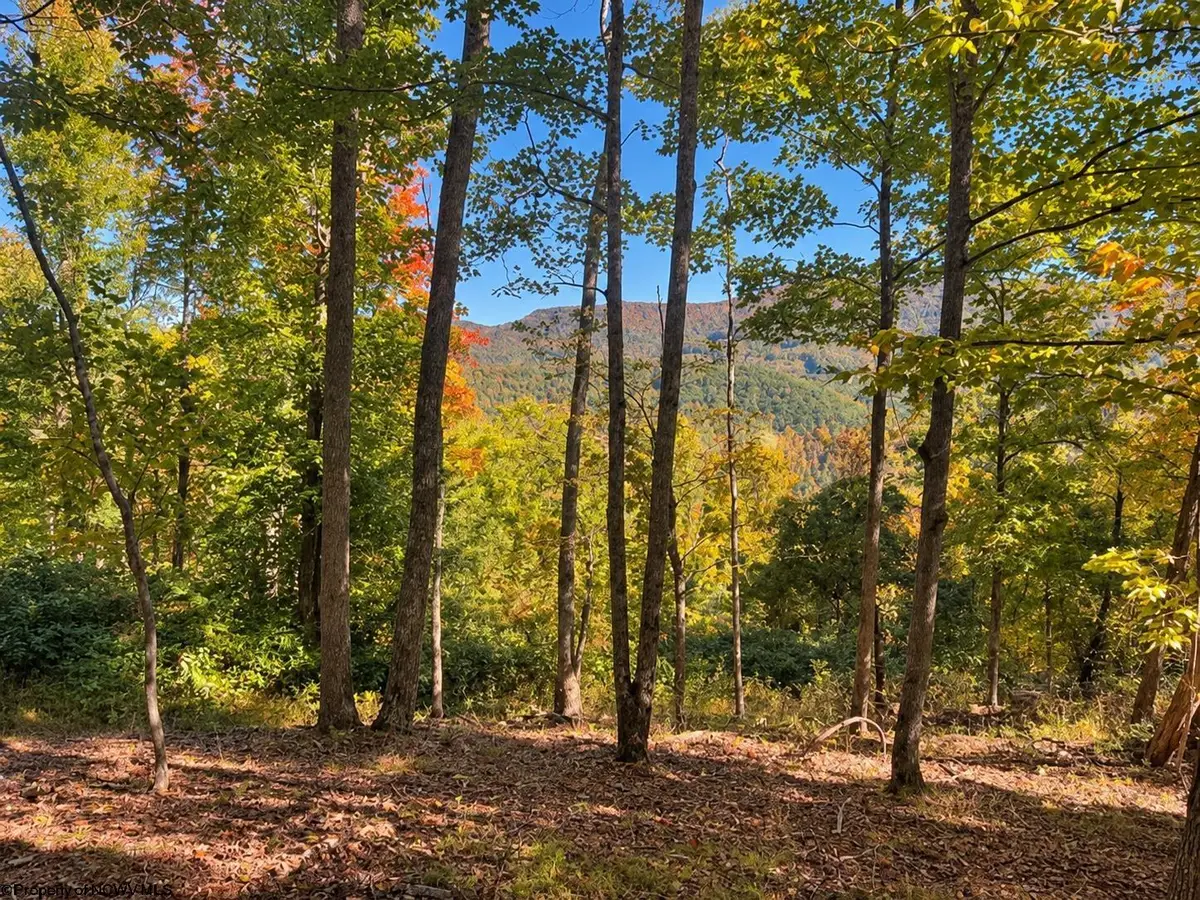 TBD Beckys Creek Road, Huttonsville, WV 26273 - #1