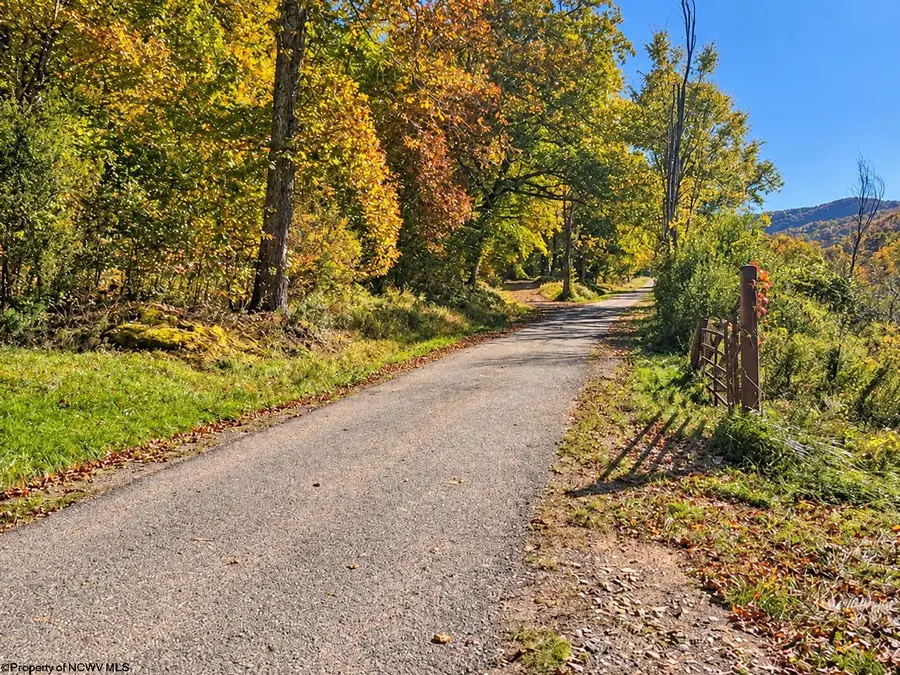 TBD Beckys Creek Road, Huttonsville, WV 26273 - #3