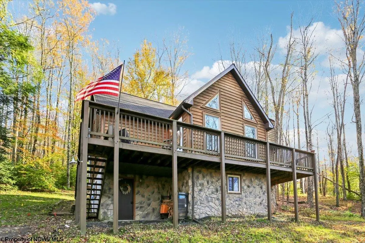 868 Cabin Mountain Road, Davis, WV 26260 - #1