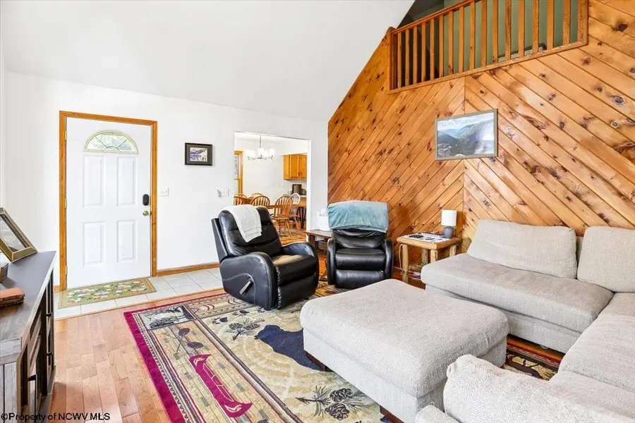 868 Cabin Mountain Road, Davis, WV 26260 - #3