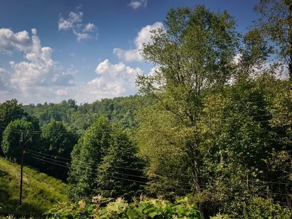 TBD Birds Creek Road, Tunnelton, WV 26444