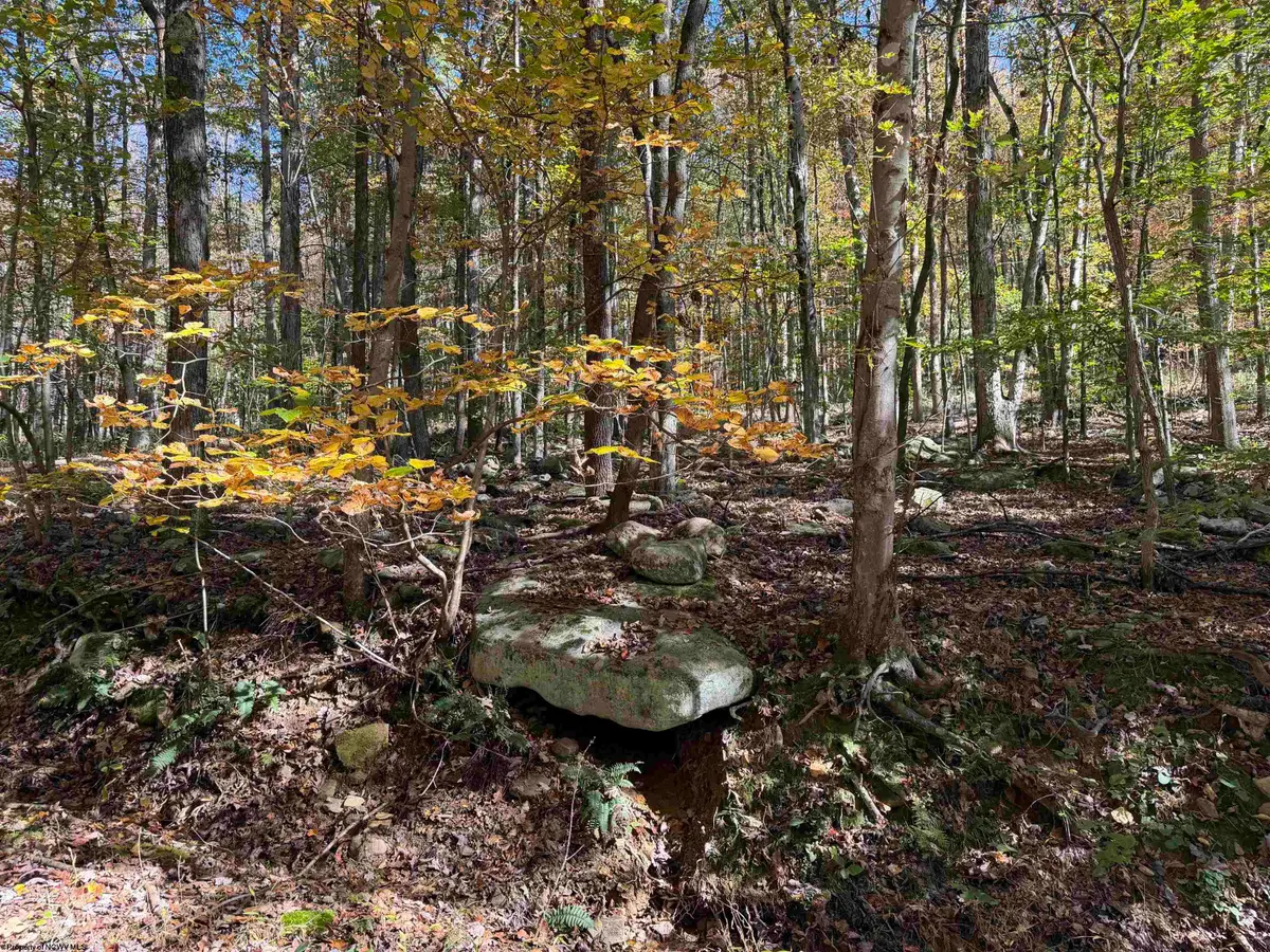 TBD Clemtown Road, Philippi, WV 26416 - #1