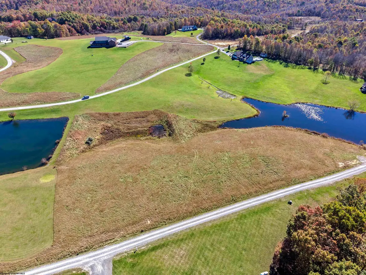 TBD Thornberry Lane, Ellamore, WV 26267 - #1