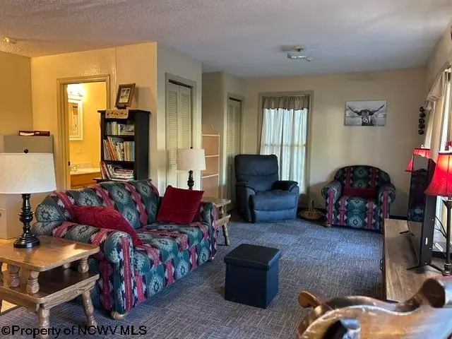 619 Clarksburg Road, Buckhannon, WV 26201 - #3