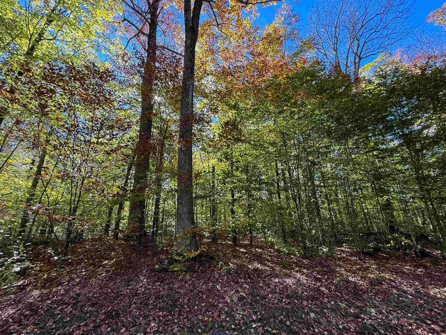 LOT 17 Palmer Circle, Bowden, WV 26254 - #2