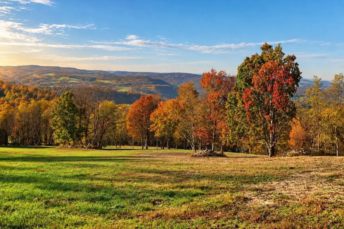 TBD CINDER BIN Road, Terra Alta, WV 26764 - #1
