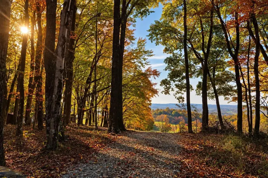 TBD CINDER BIN Road, Terra Alta, WV 26764 - #2
