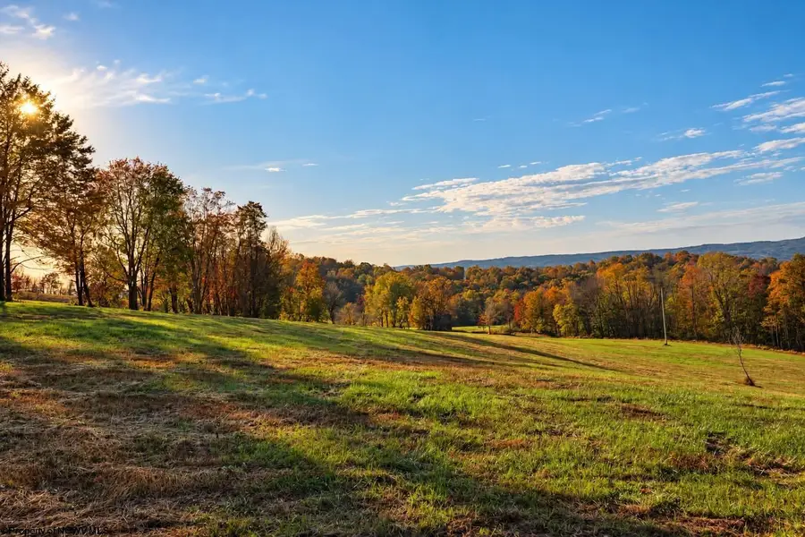 TBD CINDER BIN Road, Terra Alta, WV 26764 - #3