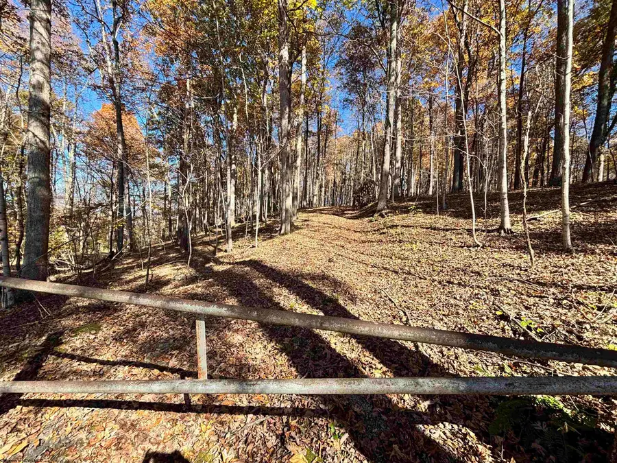 TBD Merrill Street, Belington, WV 26250 - #2