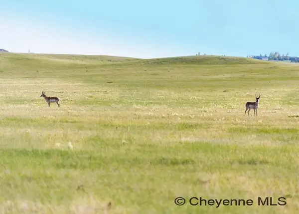 TBD Big Loop Ct, Cheyenne, WY 82009