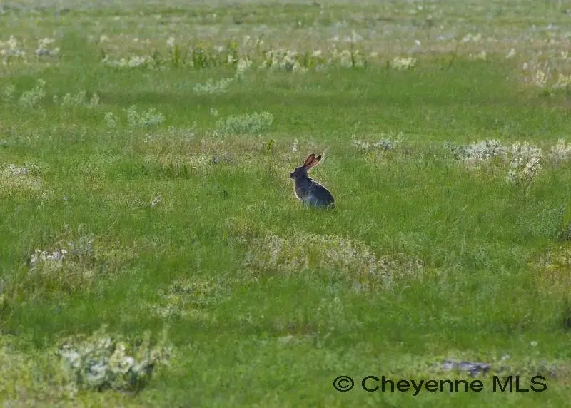 TBD Big Loop Ct, Cheyenne, WY 82009 - #3