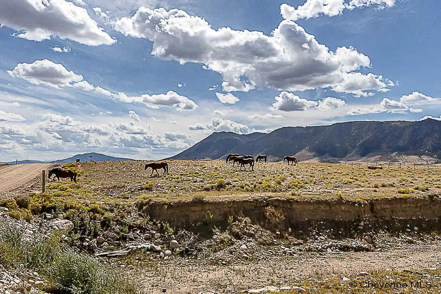 Tr 91 Wild Horse Ranch, Laramie, WY 82070 - #3