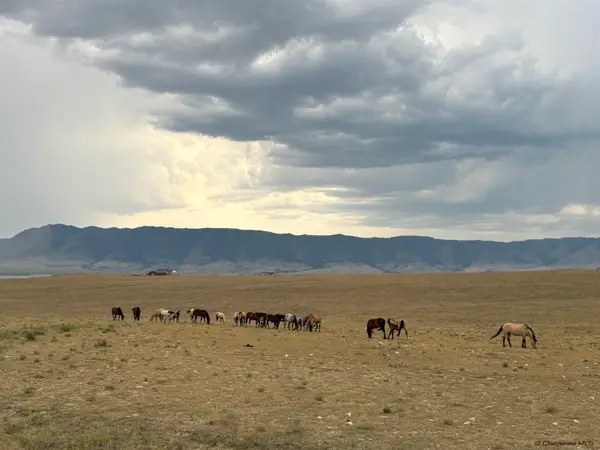Tr 305 Big Horn Dr, Laramie, WY 82070