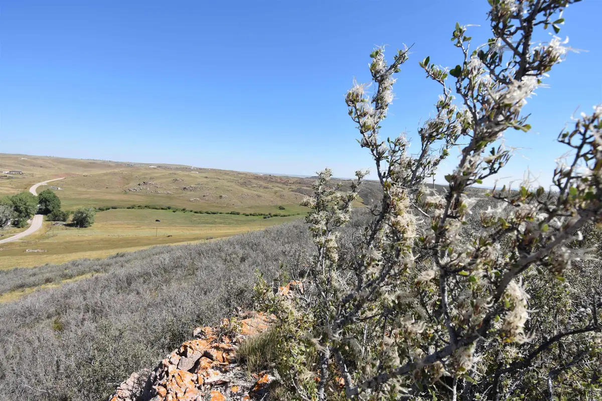 TBD Jenny Lynn Rd, Granite Canon, WY 82059 - #1