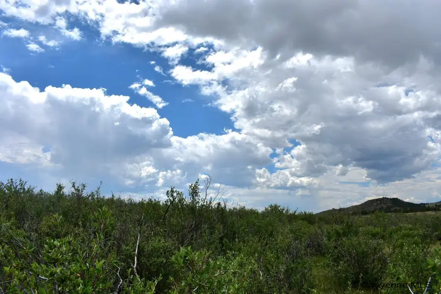 TBD Jenny Lynn Rd, Granite Canon, WY 82059 - #2