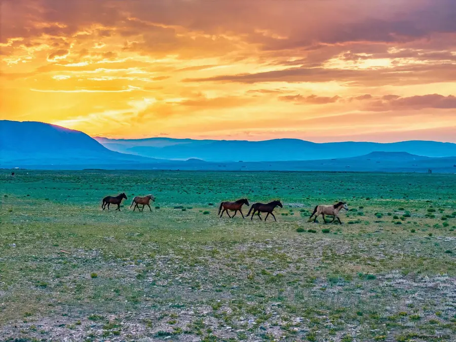 TR 347 Wild Horse Ranch, Laramie, WY 82070 - #3