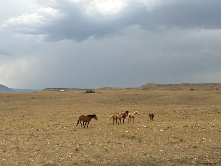 Tr 305 Big Horn Dr, Laramie, WY 82070 - #3
