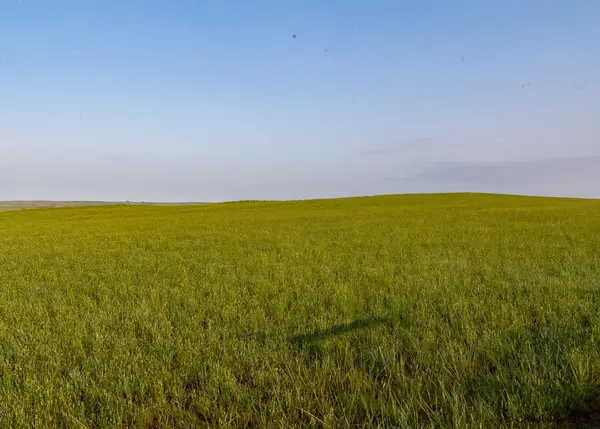 TBD Us Hwy 85, Lusk, WY 82225-0000