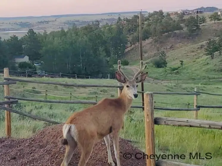 1023 Cottontail Dr, Cheyenne, WY 82009 - Image #3