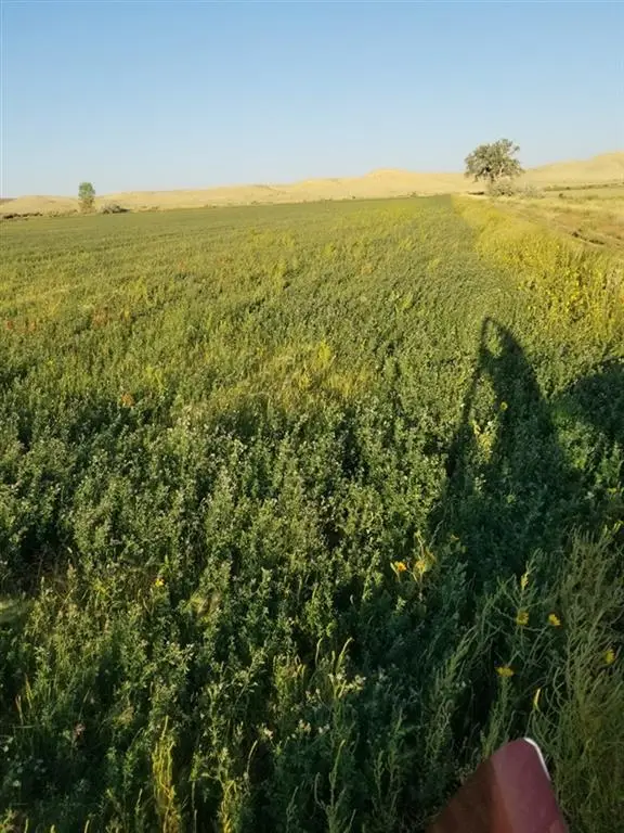 359 Lane 7 1/2, Deaver, WY 82421 - Image #2