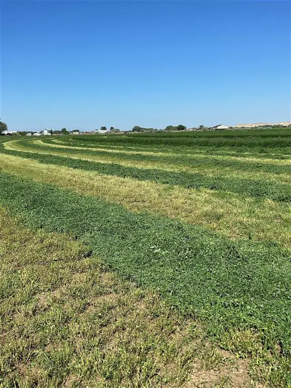 2303 Lane 40, Basin, WY 82410 - Image #2