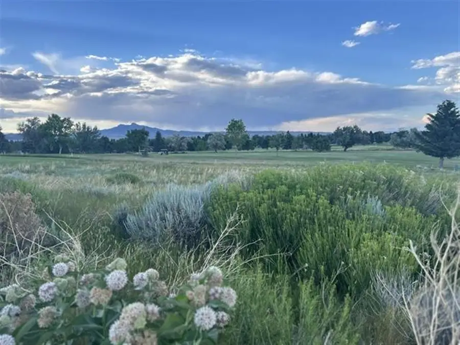 714 & 720 Olive Glenn Dr, Cody, WY 82414 - Image #2