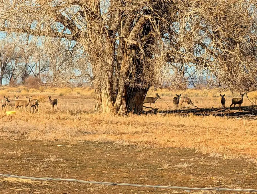 TBD Lane 14 Lane 14, Powell, WY 82435 - #2