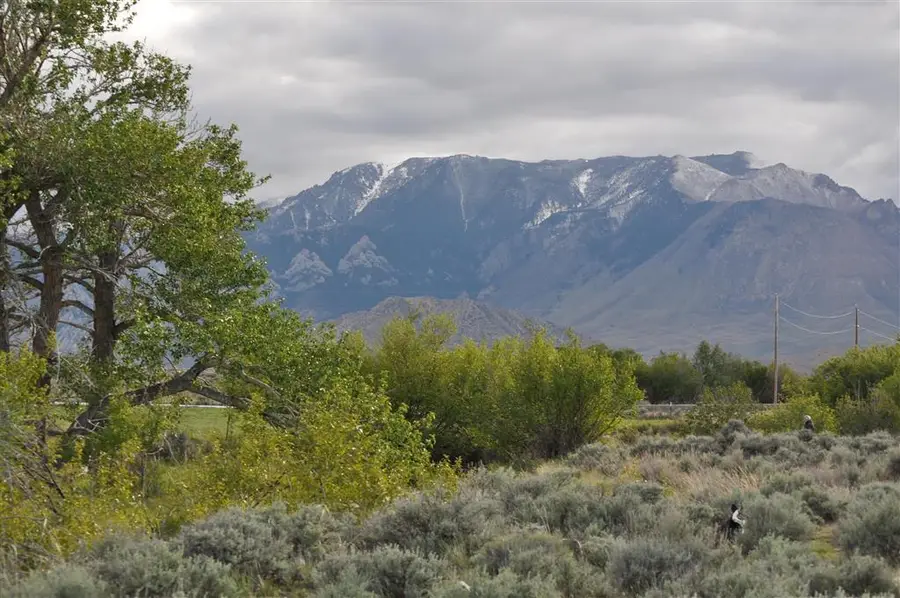 52 Road 8UC, Clark, WY 82435 - #3