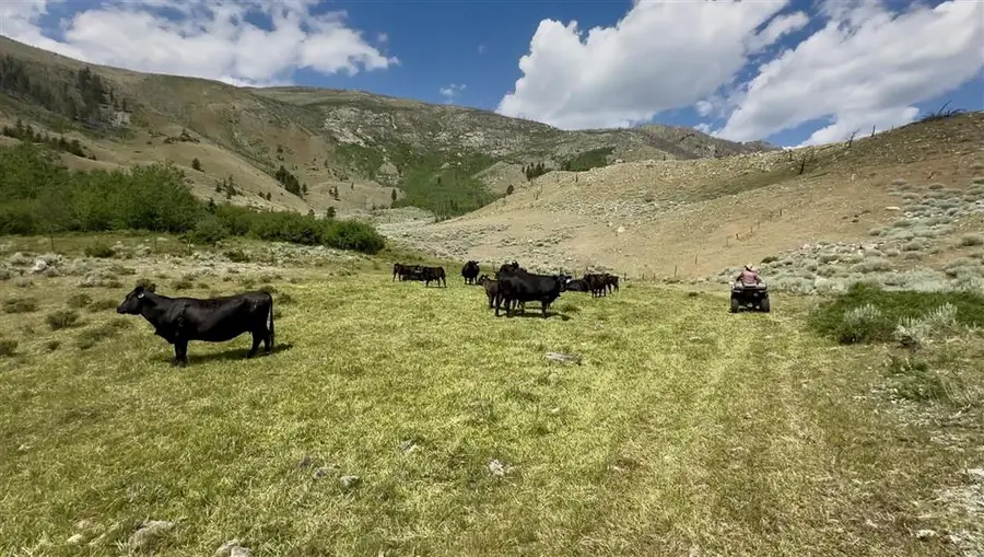 409 Tolman Rd, Clark, WY 82435 - #3