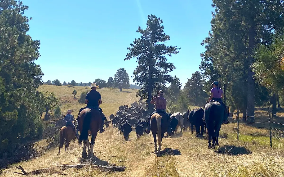 100 Mule Creek Road, Hulett, WY 82720 - Image #1