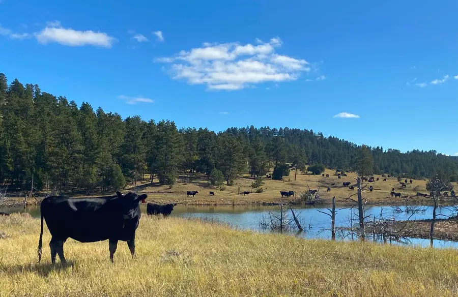 100 Mule Creek Road, Hulett, WY 82720 - Image #3