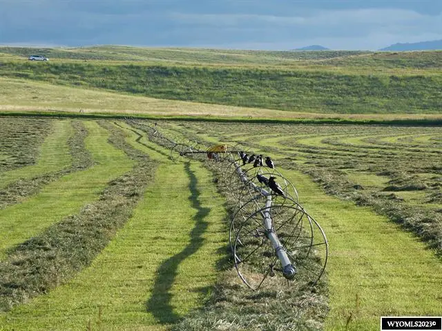 LOT 84 Barkey Draw, Buffalo, WY 82834 - Image #1