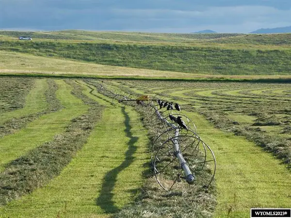 LOT 84 Barkey Draw, Buffalo, WY 82834