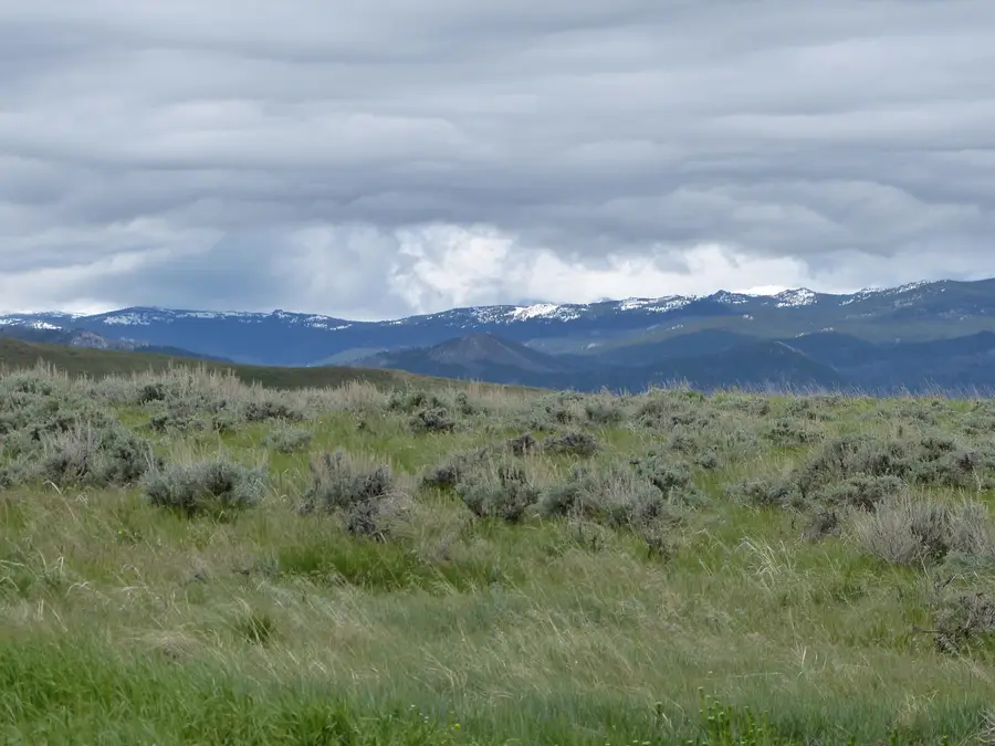 LOT 7 Peak View Lane, Buffalo, WY 82834 - Image #3