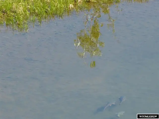 LOT 13 Peak View Lane, Buffalo, WY 82834 - Image #1