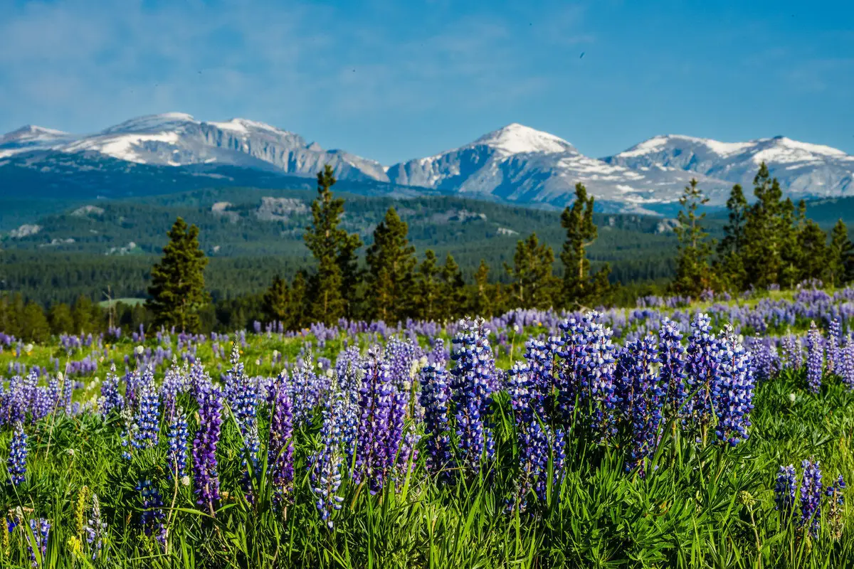 TBD W Us Hwy 16, Buffalo, WY 82834 - Image #1